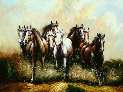 Horses 053